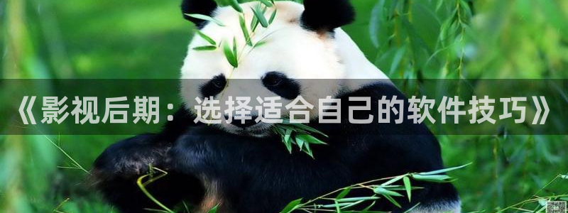 小八戒电影：《影视后期：选择适合自己的软件技巧》