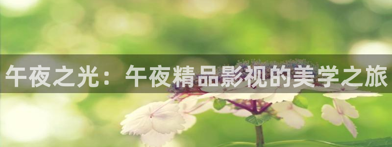 八戒八戒观看免费高清影院5：午夜之光：午夜精品影视的美学之旅