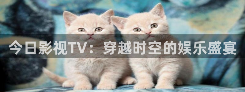 6080八戒影视：今日影视TV：穿越时空的娱乐盛宴