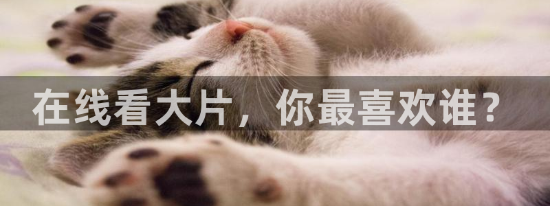 八戒八戒在线看免费观看电影：在线看大片，你最喜欢谁？