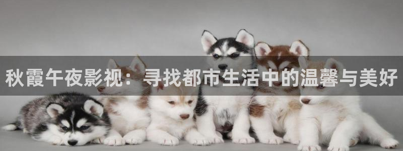 八戒私人院影：秋霞午夜影视：寻找都市生活中的温馨与美好