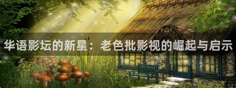 八戒网影院网：华语影坛的新星：老色批影视的崛起与启示
