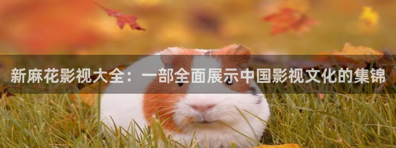 八戒影院电影院：新麻花影视大全：一部全面展示中国影视文化的集锦
