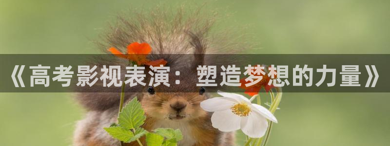 八戒八戒电影在线：《高考影视表演：塑造梦想的力量》