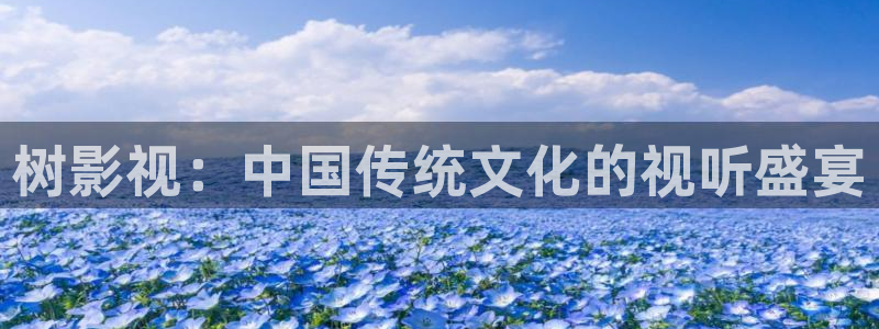 八戒八戒电影在线免费看完整版：树影视：中国传统文化的视听盛宴